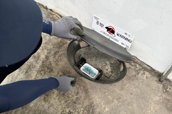 dịch vụ diệt chuột cho doanh nghiệp không hóa chất; dịch vụ diệt chuột bằng bẫy 