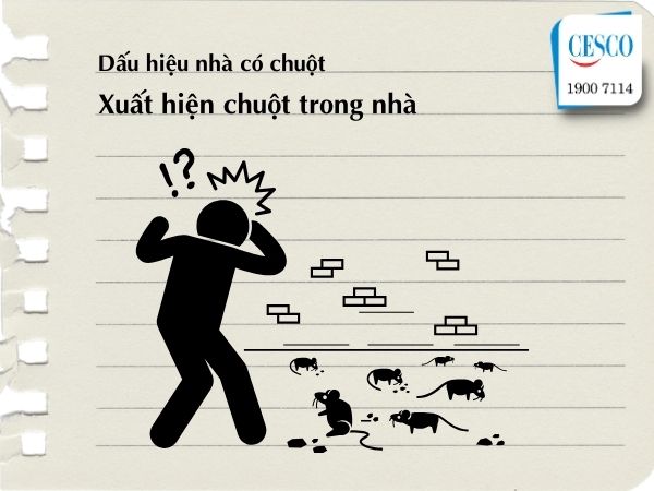 làm sao biết có chuột trong nhà có chuột, dấu hiệu có chuột trong nhà