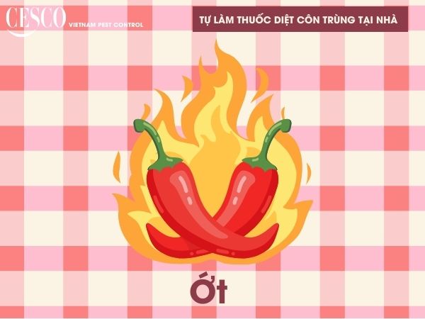 cách diệt côn trùng tại nhà đơn giản, hiệu quả bằng ớt và gia vị cay