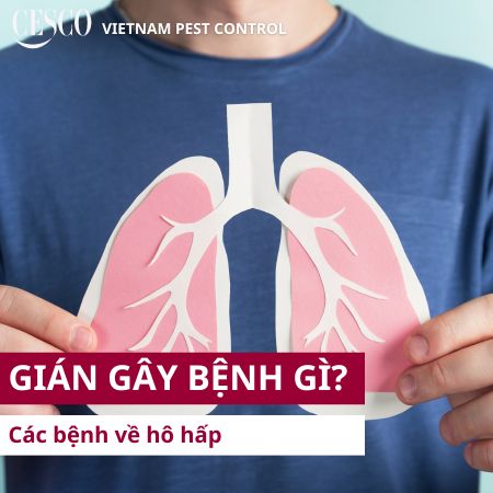 gián gây các bệnh gì trong đó có bệnh về hô hấp do gián lây nhiễm nguy hiểm