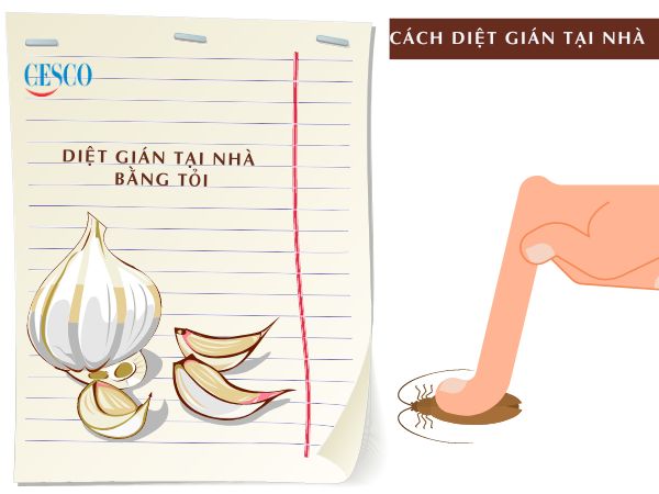 cách diệt gián với tỏi tận gốc tại nhà đơn giản, không tốn tiền, hiệu quả nhanh chóng