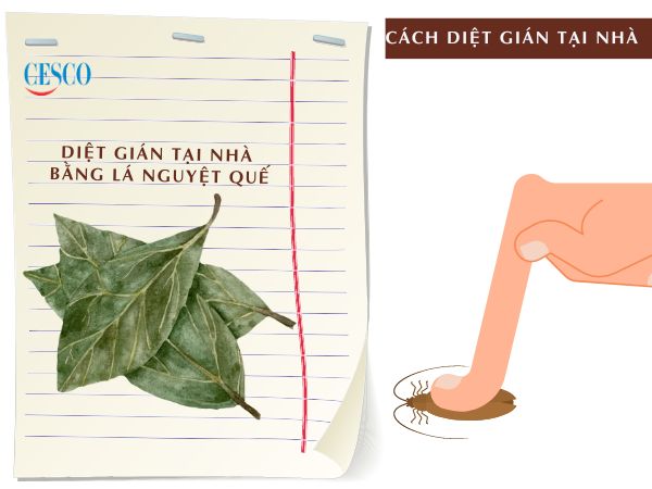 cách diệt gián với lá nguyệt quế tận gốc tại nhà đơn giản, không tốn tiền, hiệu quả nhanh chóng
