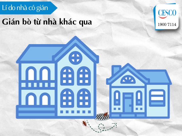 vì sao nhà nhiều gián, lí do nhà có gián do gián bò từ nhà khác vào nhà 