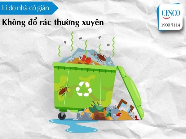 vì sao nhà nhiều gián, lí do nhà có gián do không thường xuyên đổ rác, đặt thùng rác gần nhà 