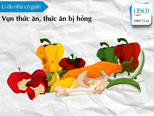 lí do nhà có gián do trong nhà có nhiều vụn thức ăn thừa