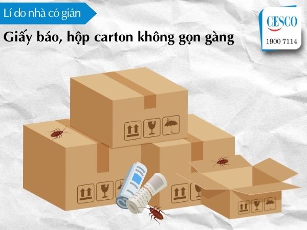 vì sao nhà nhiều gián, trong nhà có nhiều thùng carton, giấy báo là lí do nhà có gián