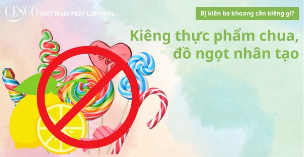 bị kiến ba khoang cắn phải kiêng đồ ngọt, đồ chua để vết thương mau lành