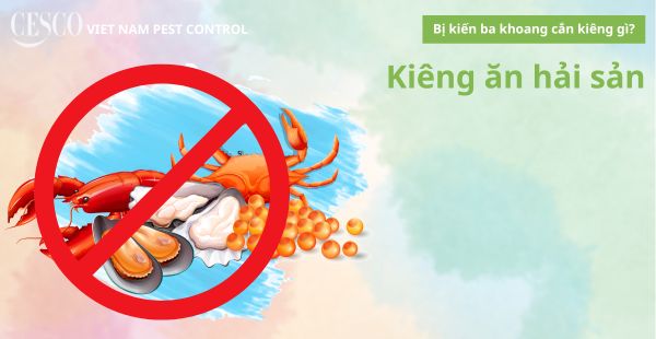 bị kiến ba khoang cắn phải kiêng ăn hải sản để vết thương không ngứa, mau lành