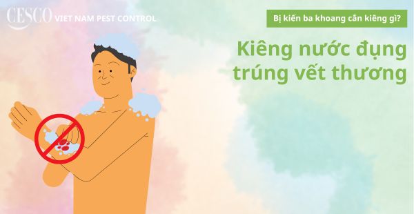 bị kiến ba khoang cắn phải kiêng tắm, tránh đụng nước vào vết thương để mau lành