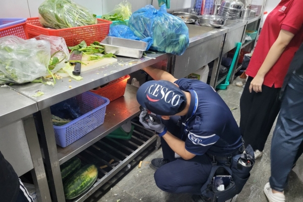 khảo sát tình trạng kiến trước khi diệt kiến; cách diệt kiến và phương pháp phù hợp